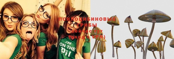 гашик Баксан