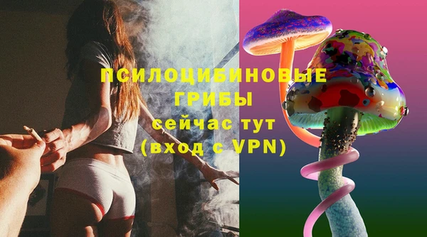 гашик Баксан