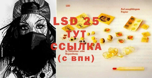 PSILOCYBIN Аркадак